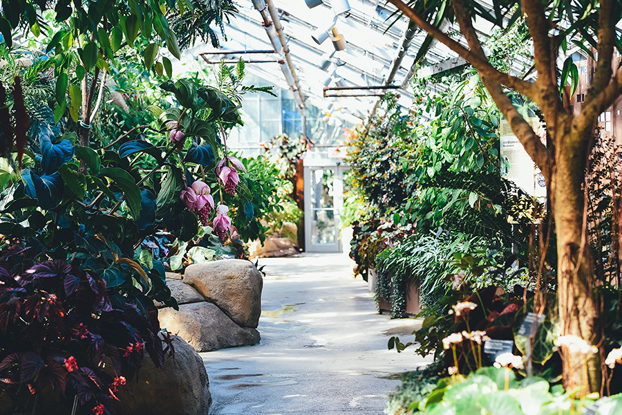 Andy’s Desk Blue Ribbon Tree & Landscape Specialists, Inc.