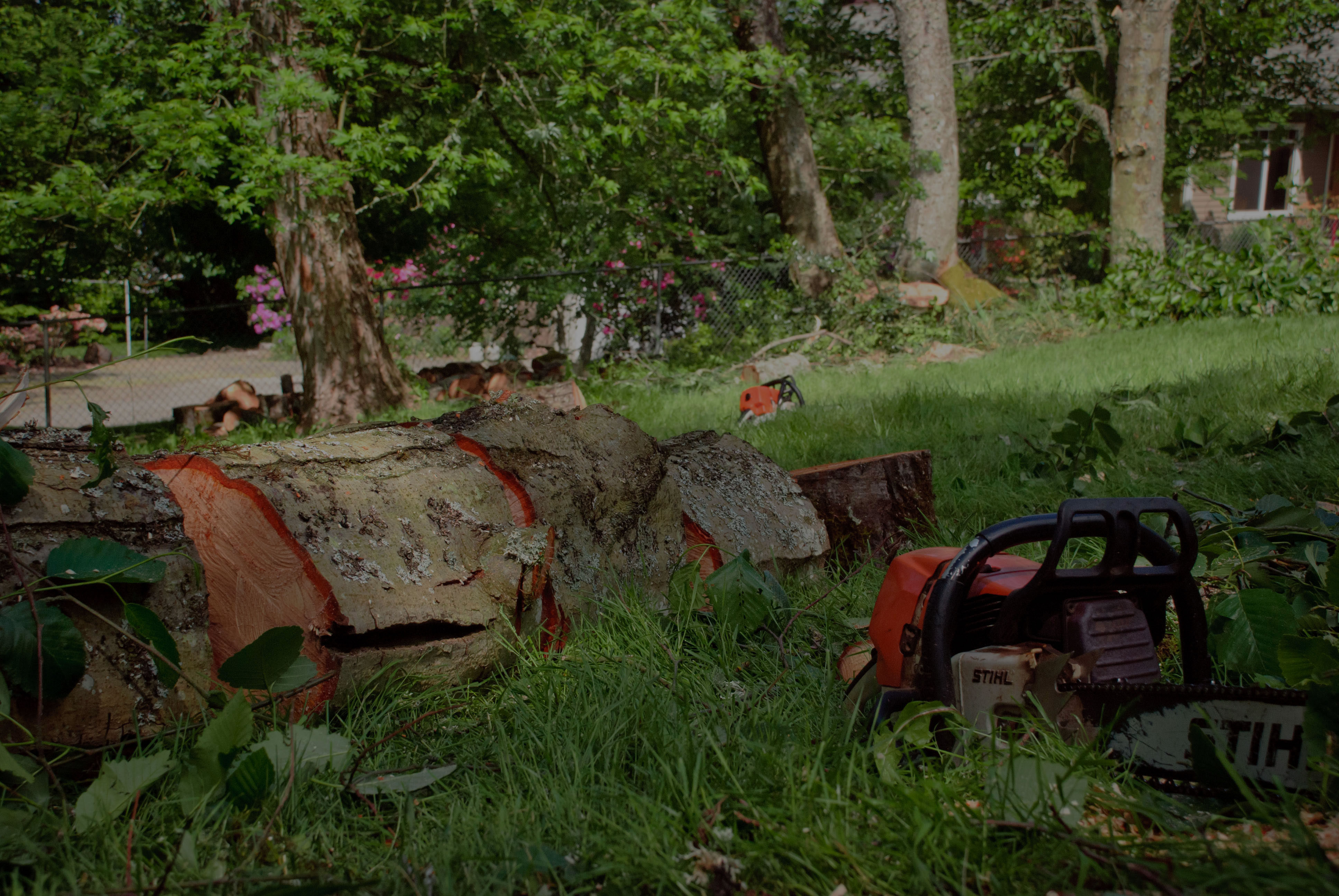 Blue Ribbon Tree & Landscape Specialists, Inc. Doing the Right Thing. Every Time.