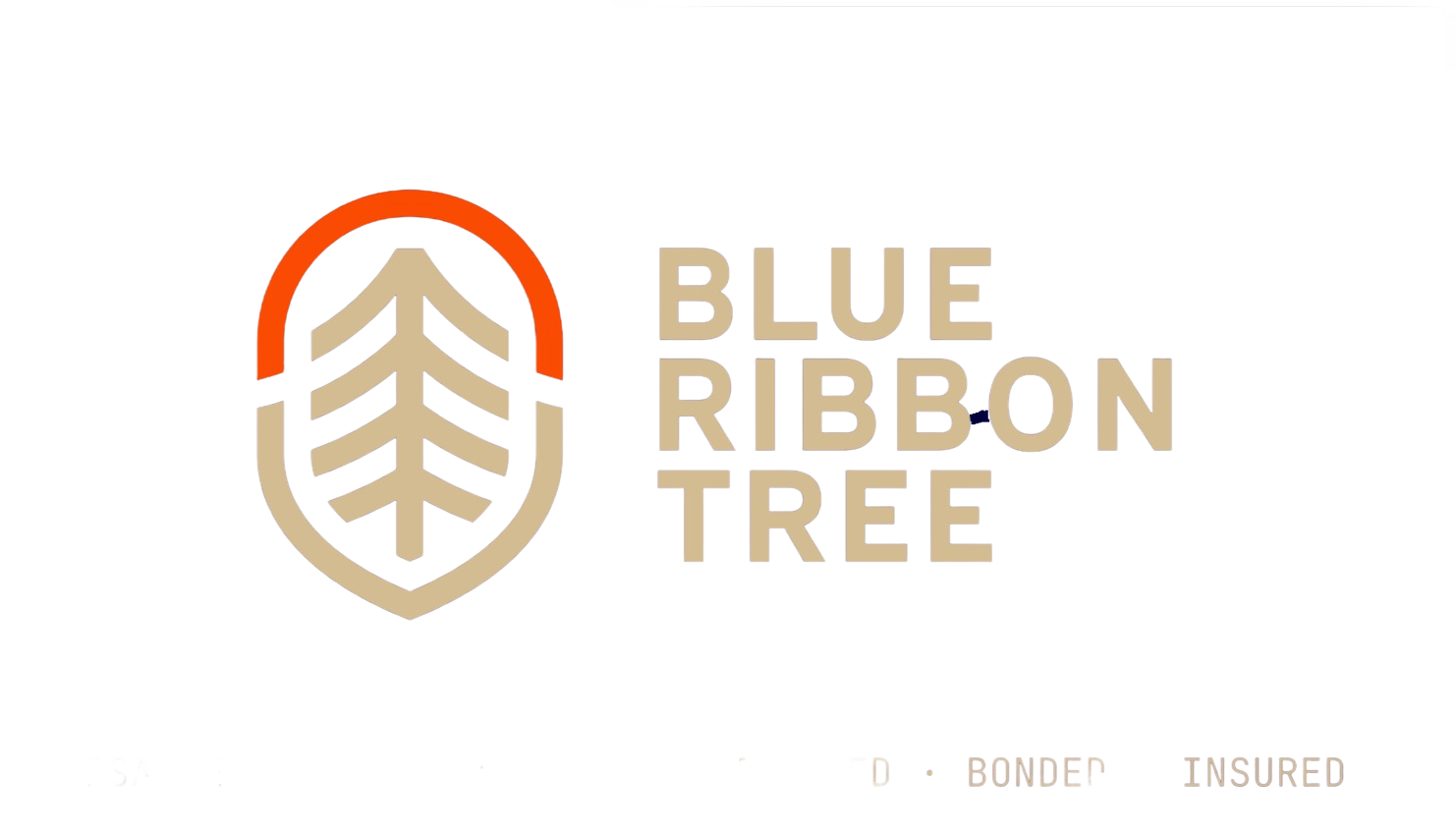 Blue Ribbon Tree